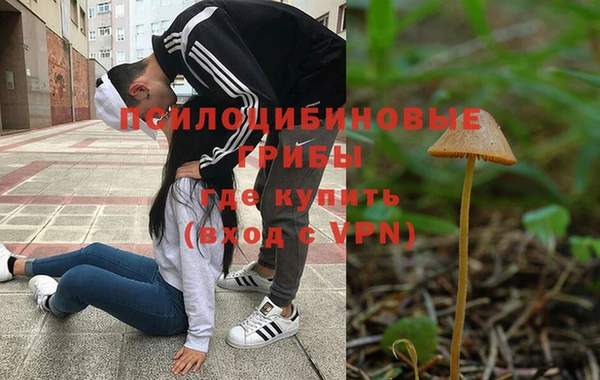 бутират Бородино