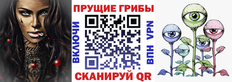 darknet наркотические препараты Шарыпово Псилоцибиновые грибы мицелий сколько стоит